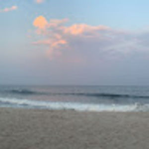 Meet your Posher, Lucy